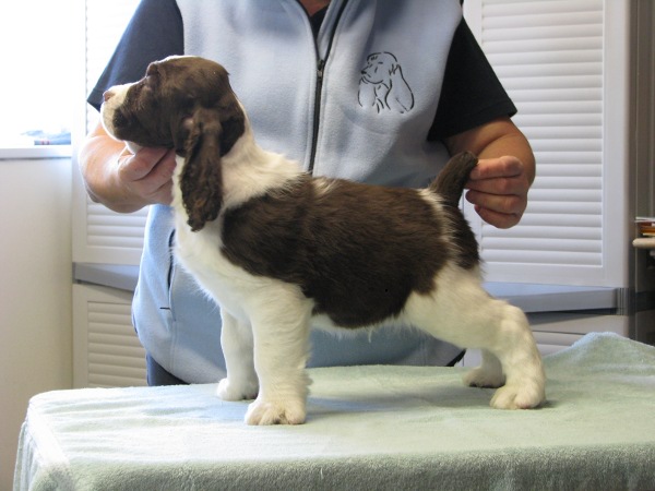 Eight Weeks Old Eight Weeks Old